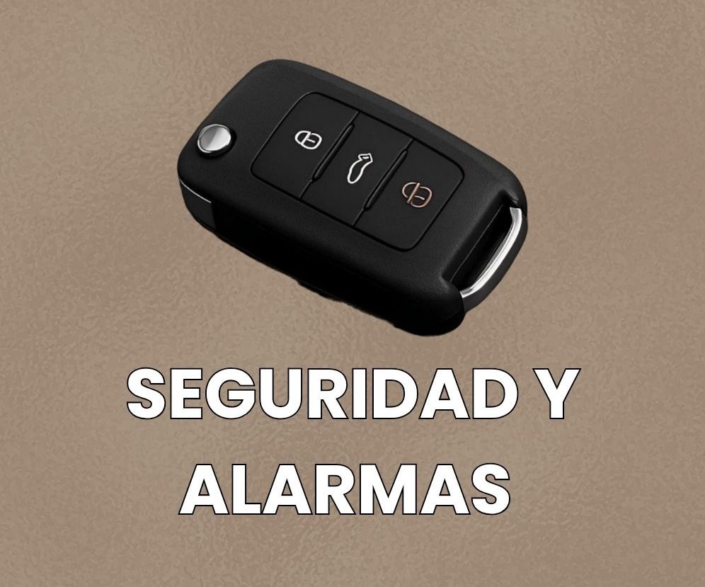 SEGURIDAD Y ALARMAS